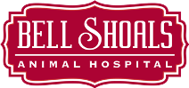 Veterinarian | Animal Hospital